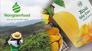 Xoài Xuất Khẩu | Sấy Dẻo | Soft Dried Mango | Farm | Export EU | Vietnam Dried Fruits | Nonglamfood