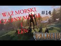 VALHEIM #14/ Gameplay PL - Wąż Morski, Czarny Metal i Len