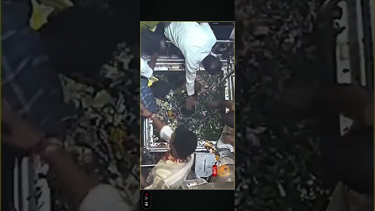 Baba vishwanath ji ka sparsh darshan 