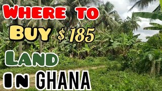 Cheapest Lands For Building And Farming In Ghana, Africa? 🤔 Twifo Nyinase | Picabolo  Tv Gh