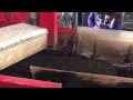 Sfa horticulture students watch tray filling machine at hoffman nursery