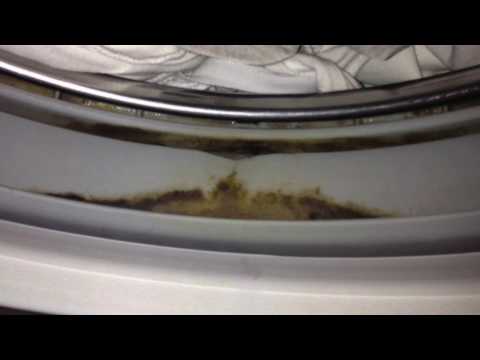 Come igienizzare la lavatrice