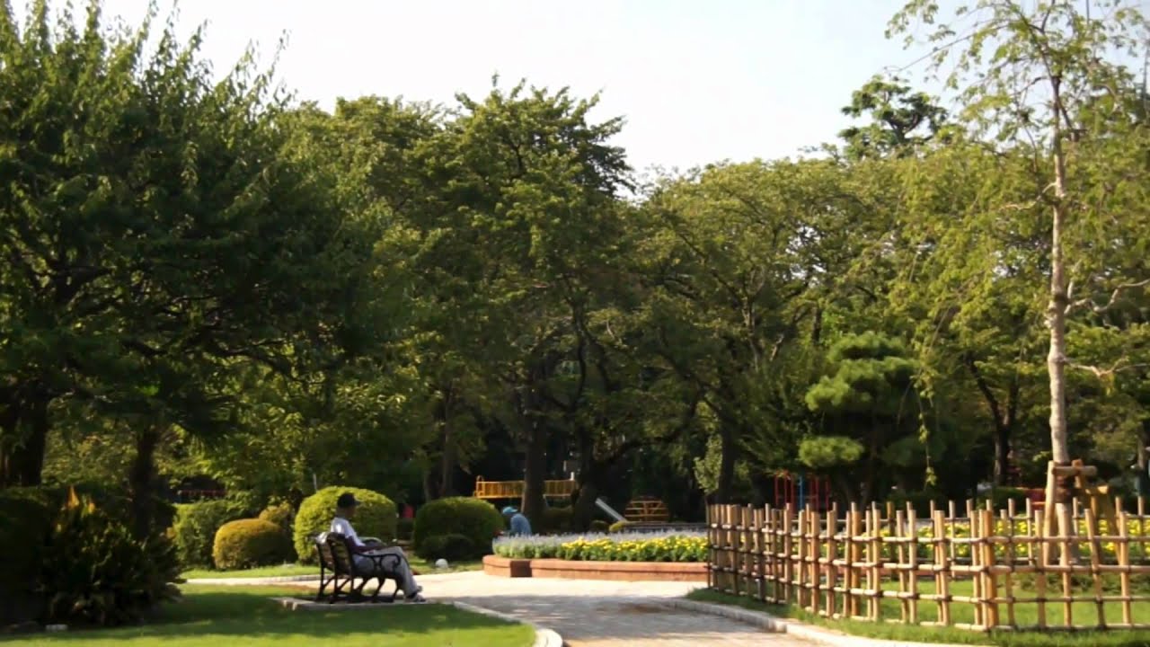 black mirror season 5 市川散歩　里見公園を写す　A stroll in Ichikawa; the park Satomi-koen
