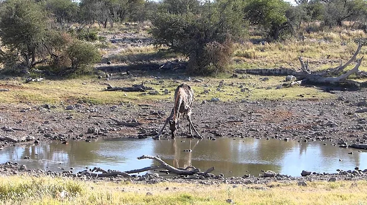 Namibia and Botswana 2015