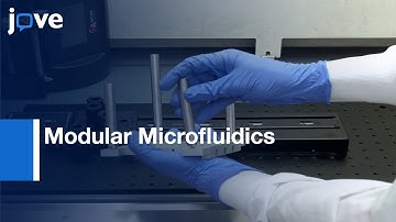 Colloidal Semiconductor Nanocrystals Study by Modular Microfluidics | Protocol Preview