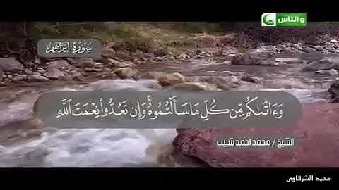 الشيخ محمد احمد شبيب - سورة ابراهيم
