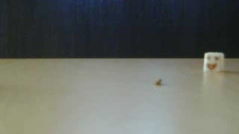 Stop-Motion With PS3 Eye testing "mmm Taste good"