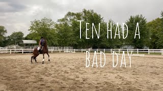 BARN VLOG! // Flatwork day!