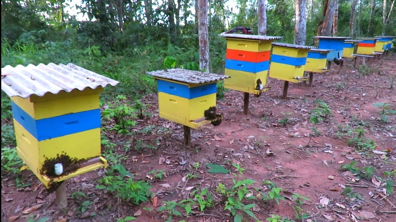 Resultado Da Alimentação Energética