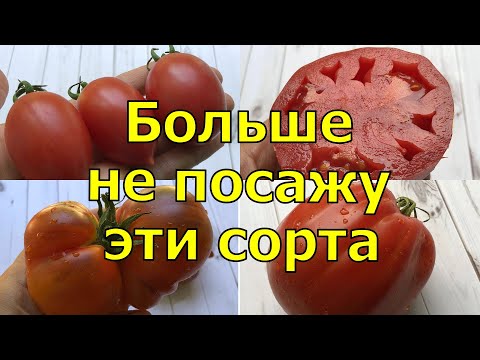 НИКОГДА БОЛЬШЕ НЕ ПОСАЖУ ЭТИ ТОМАТЫ, РАЗОЧАРОВАЛИ...