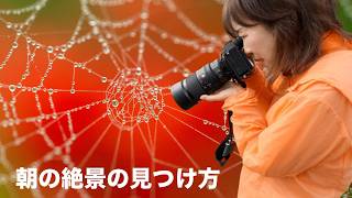 [Capturing the Drama] Stunning Red Spider Lilies! Macro & F2 Lenses Shine in the Misty Mountain V...