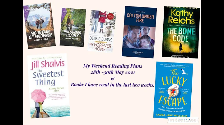 My Weekend Reading Plans 28th -30th May 2021