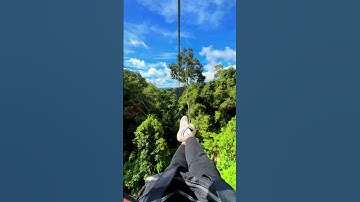 Đu zipline ngắm rừng thông Đà Lạt ở độ cao 130m tại Thác Datanla, Đà Lạt