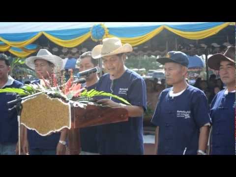 งานวันข้าวไร่ ตำบลกกสะทอน.mp4