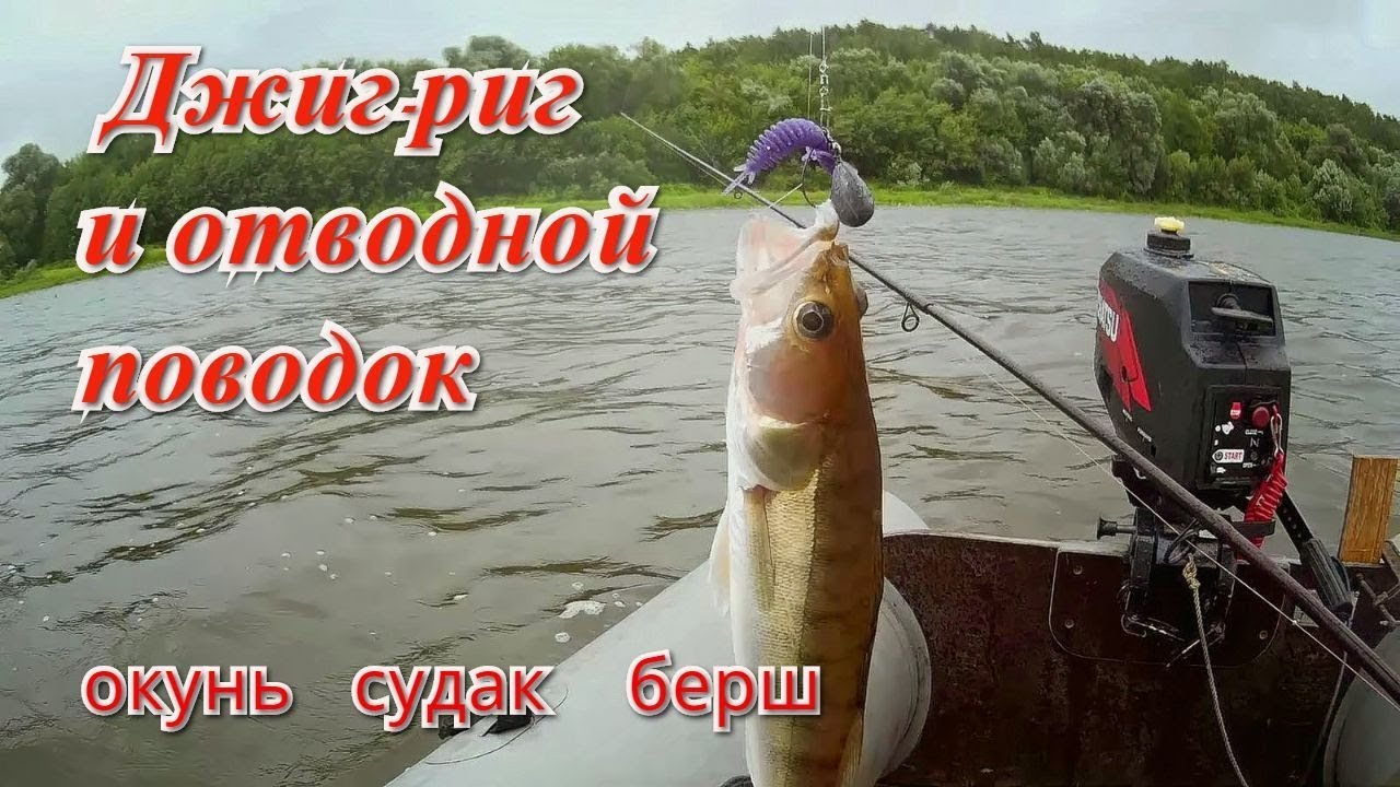 Ока кольцово рыбалка