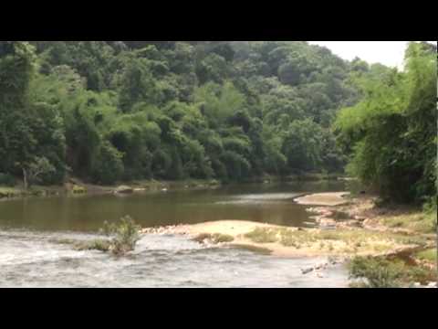 Bhadra River video