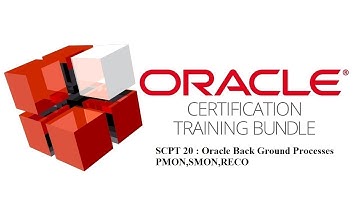 SCPT 20 : Oracle Back Ground Processes PMON,SMON,RECO