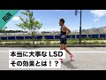 LSDのすごい効果【効果的なやり方をご紹介します】