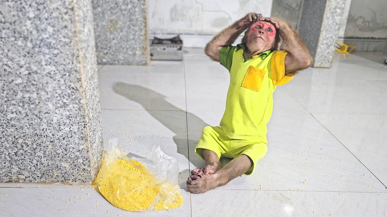 Too Sweet, Too Clumsy — Su’s Way of Helping Mom