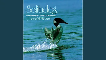 Solitudes Volume Twelve: Listen to the Loons