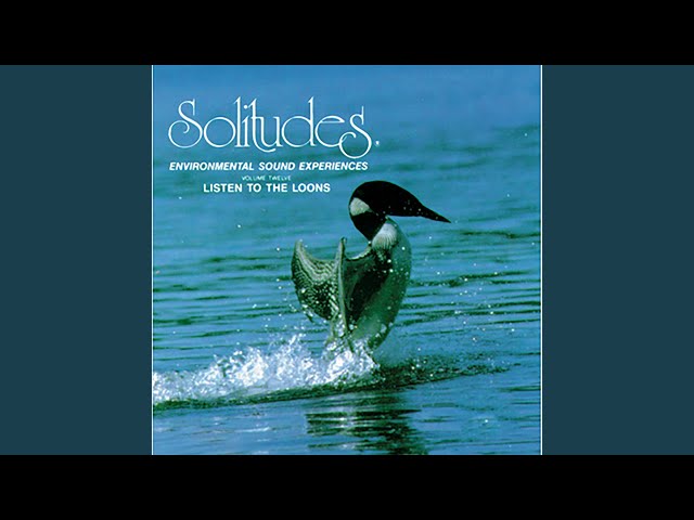 Dan Gibson's Solitudes - Breton Children's Song