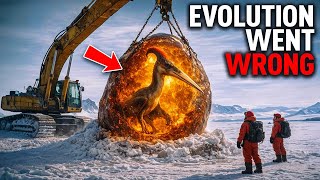 Scientists Discover 90-Million-Year-Old Amber Beneath Antarctica — Proof It Was Once a Rainforest