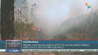 Honduras | Over 110,000 areas affected by wildfires amid govt. inaction
