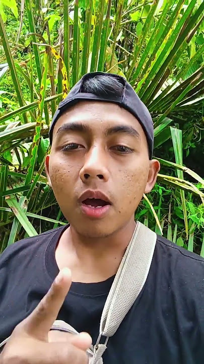 Selain berjualan keliling, kita juga menjual buah beluluk sebagai jamu #kelapa #buah #obatherbal