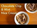 Guiltfree ice cream chocolate chip and mint nice cream  vegan ice cream  in carinas kitchen