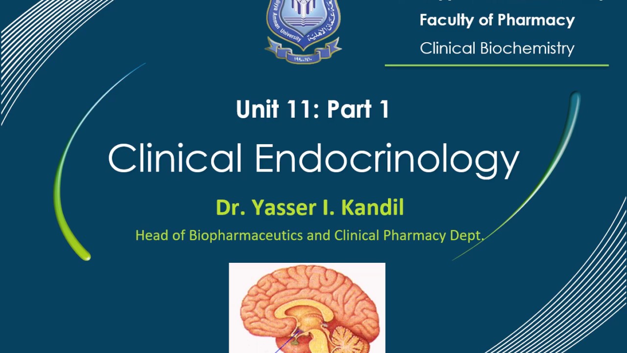 19- Clinical Endocrinology (Part 1) by Dr. Yasser Kandil