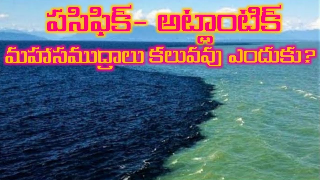 Why the Pacific and Atlantic Oceans don't mix? | Why the Pacific and