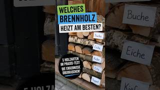 Brennholz im Vergleich – große Unterschiede #brennholz #selbstversorger #holzheizung