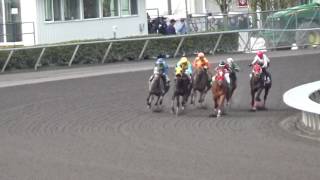 The 1st race of the 2017 Emerald Downs Season
