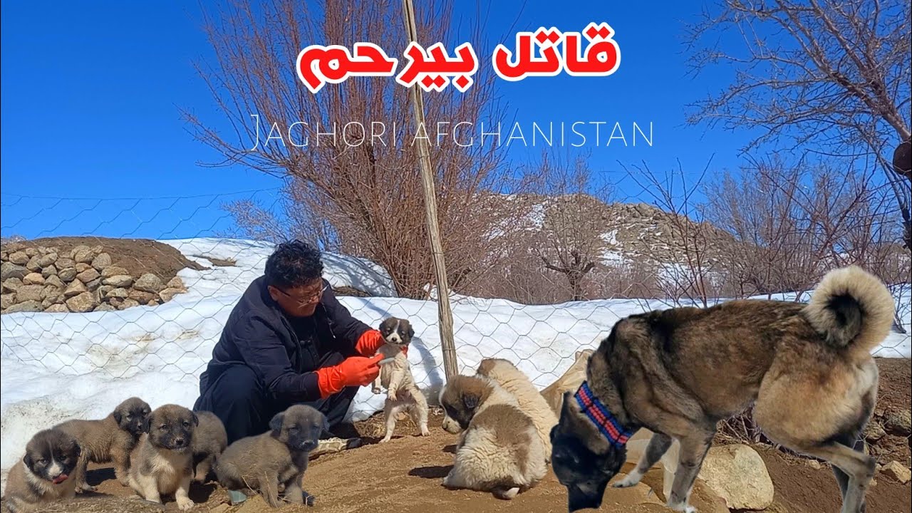 It didn't work, I'm really sorry.