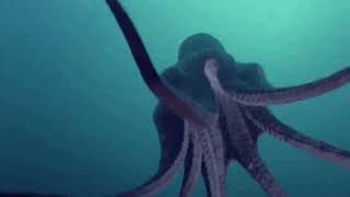 Dub Cave Mix (July 2021) // dubstep // deep // dark // ethno