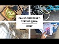 КОРОТКИЙ ВЛОГ ИЗ САНКТ-ПЕТЕРБУРГА. ТРЕТИЙ ДЕНЬ || Влоги