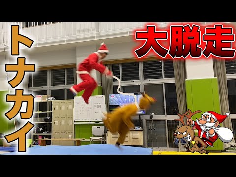 体育館でサンタとトナカイが大暴走！！！【メリークリスマス】