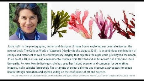 LEARN-DISCOVER-GROW: The Curious World of Seaweed