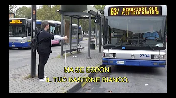 Dove comprare abbonamento strisce blu Torino?