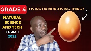 Grade 4 NS &Tech: Living and non-living things. The Seven Life Processes|  Proficient School 