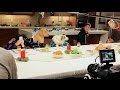 Freshpet holiday feast  behind the scenes