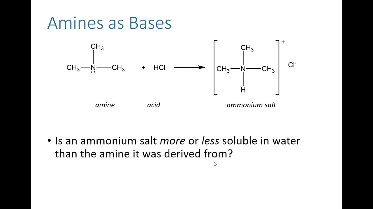 Chemistry 110, Chapter 13 -- Part Three: Amines and Amides