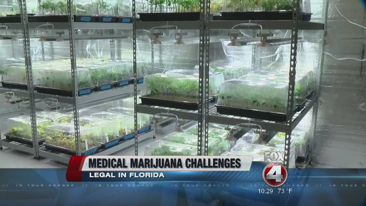 Medical Marijuana Challenges in Florida