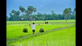 Pangabuhi sa Uma (Kinaray-a Culture)