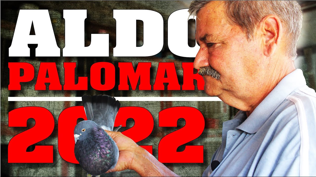 Palomar de Conquista de Aldo en Mantilla.