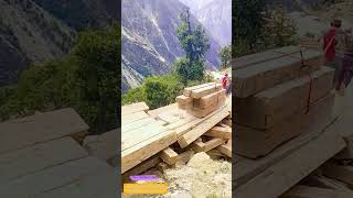 How Mountain Men Slide Timber Down Slopes on Wooden Rails