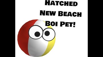 Hatching The New Beach Boi Pet In Mining Simulator 2 Roblox!