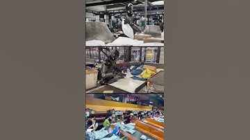 🤖Robots Doing OUR Jobs?! See Figure 02 Master Package Sorting 24/7! What