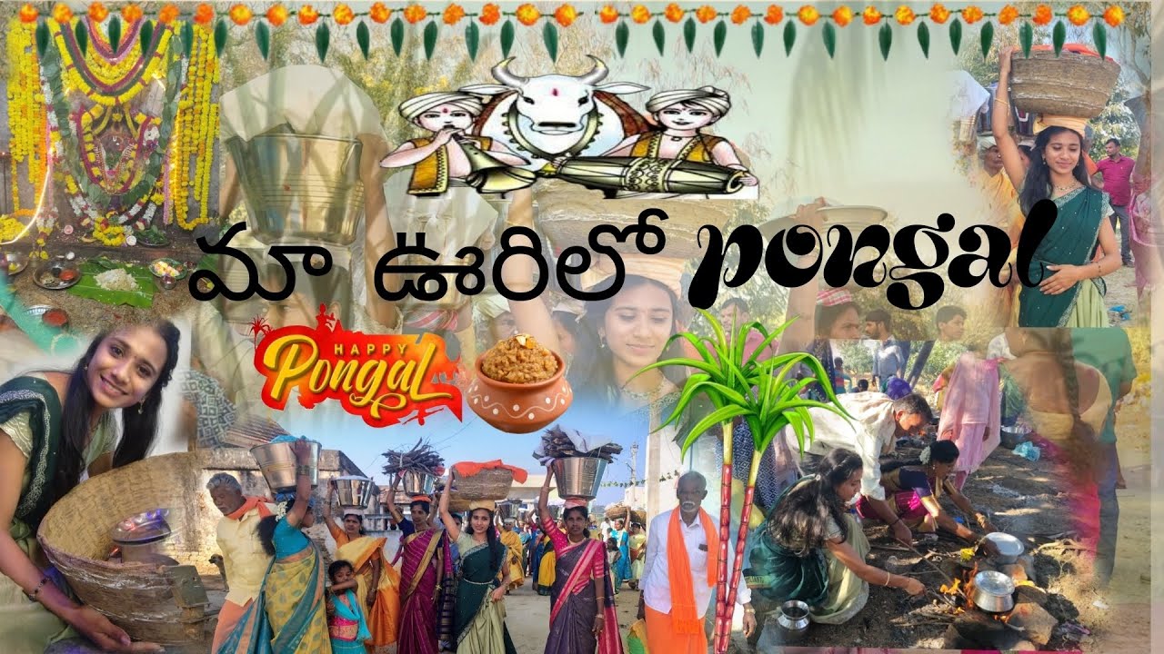 Ma ఊరిలో pongal // పొంగలో పొంగల్ 🌾✨ హ్యాపీ పొంగల్ // likhithapasanpalli // Pongal moments 🌾