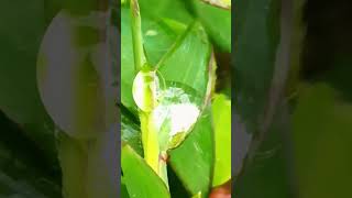 Download Lagu #embun 23 FEBRUARI 2026 MP3